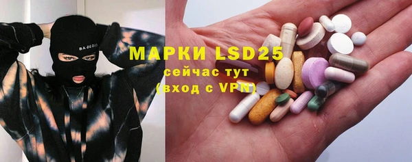 ГАЛЛЮЦИНОГЕННЫЕ ГРИБЫ Кодинск