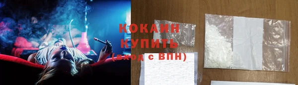 молекула духа Козловка