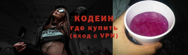 молекула духа Козловка