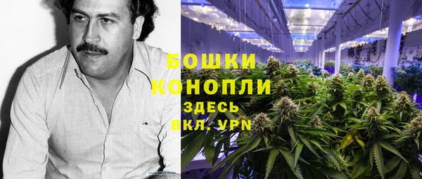 ГАЛЛЮЦИНОГЕННЫЕ ГРИБЫ Кодинск
