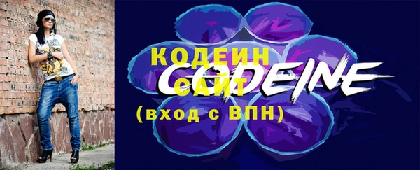 молекула духа Козловка